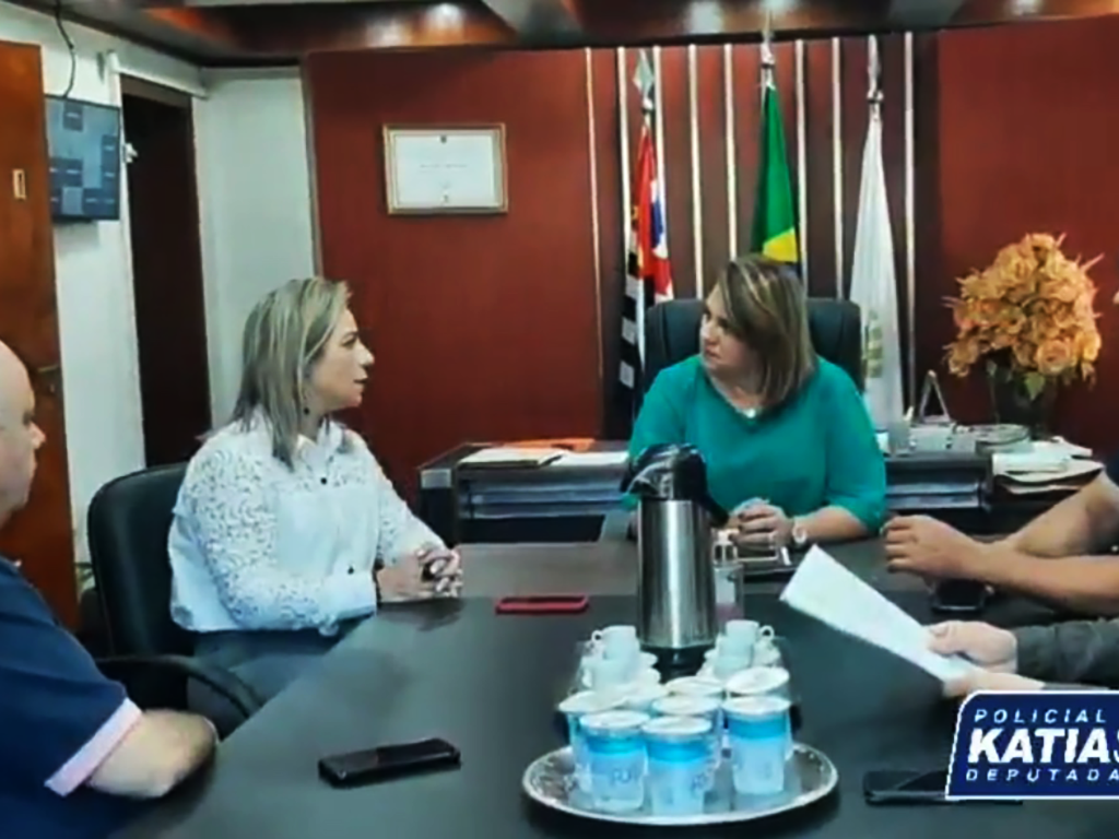 Deputada Katia Sastre durante reunião