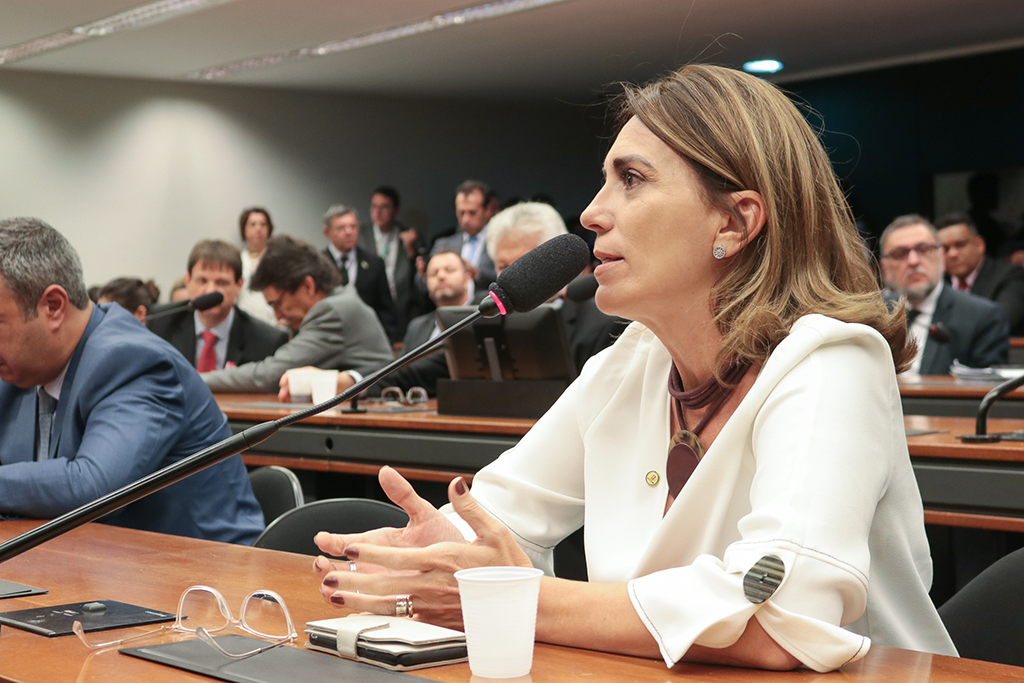 Deputada federal Rosana Valle (PL-SP)