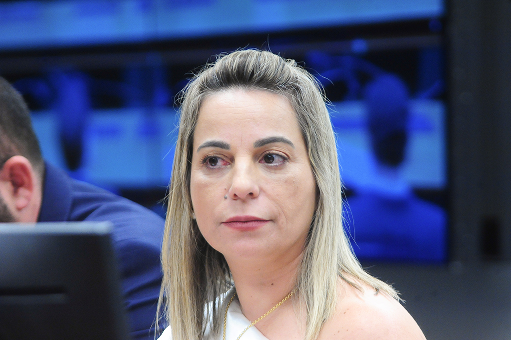Deputada Federal Katia Sastre (PL-SP)