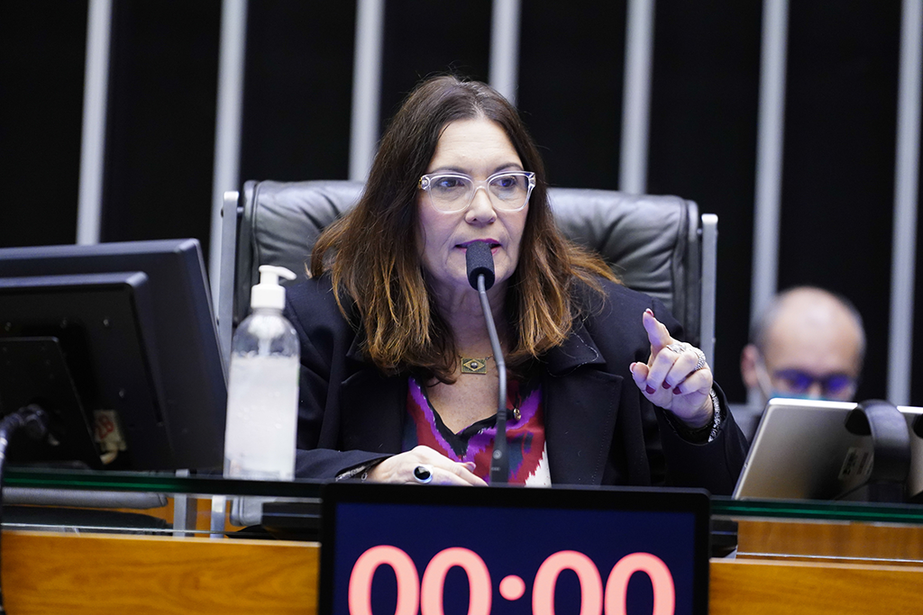 Deputada federal Bia Kicis (PL-DF)