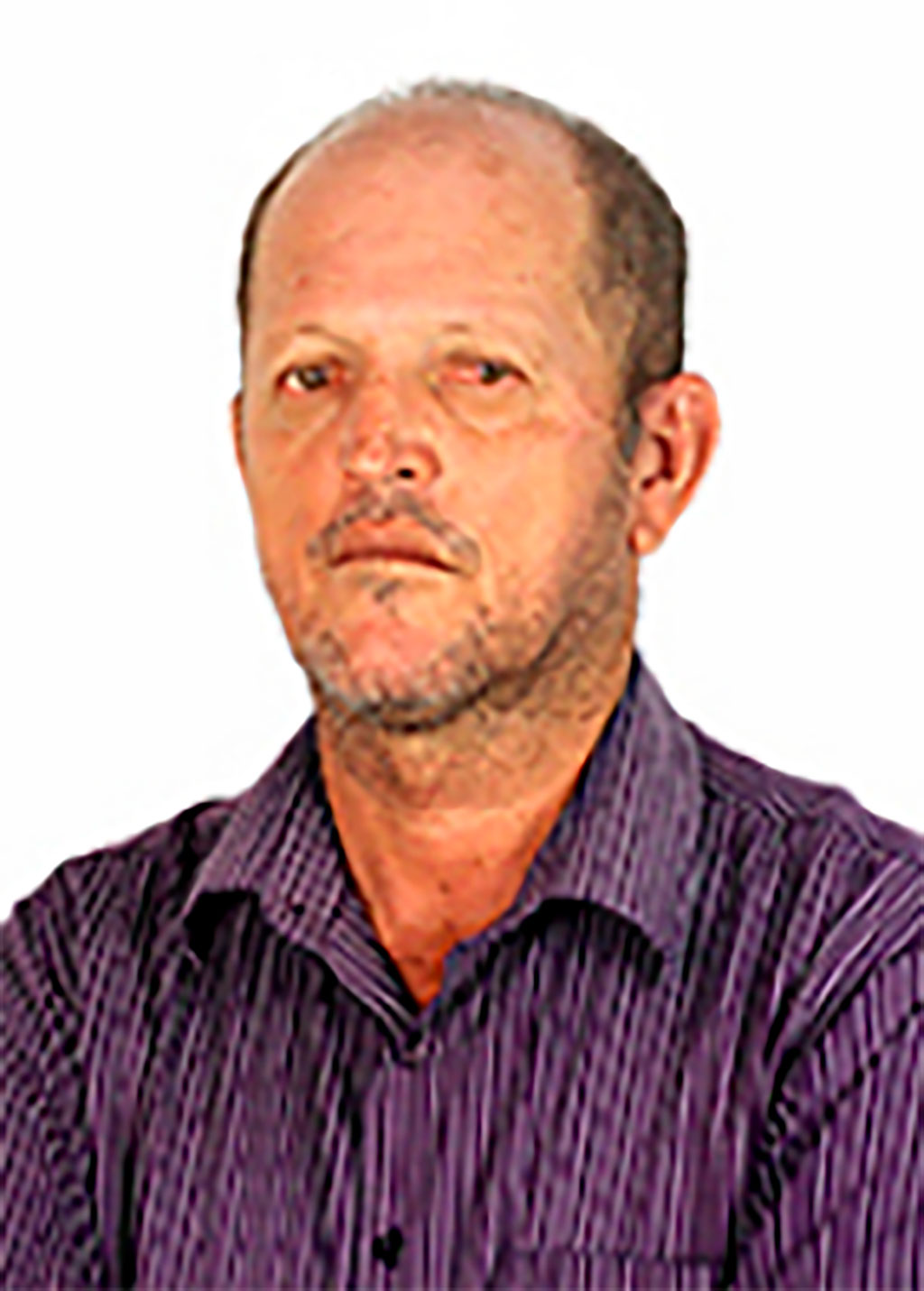 Louro de João de Lino