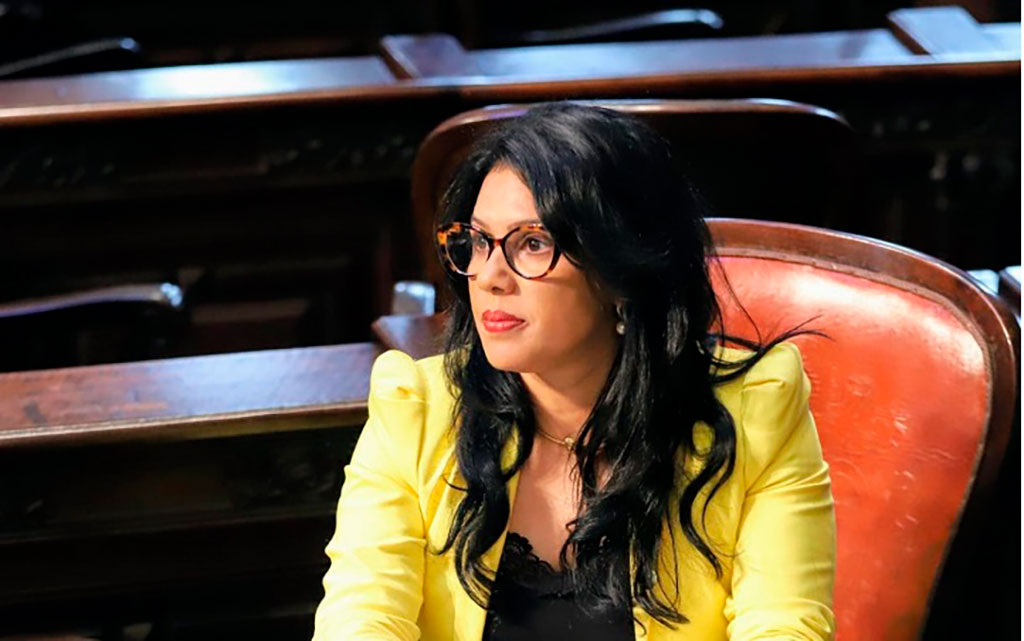 Deputada estadual Rosane Felix (foto divulgação)