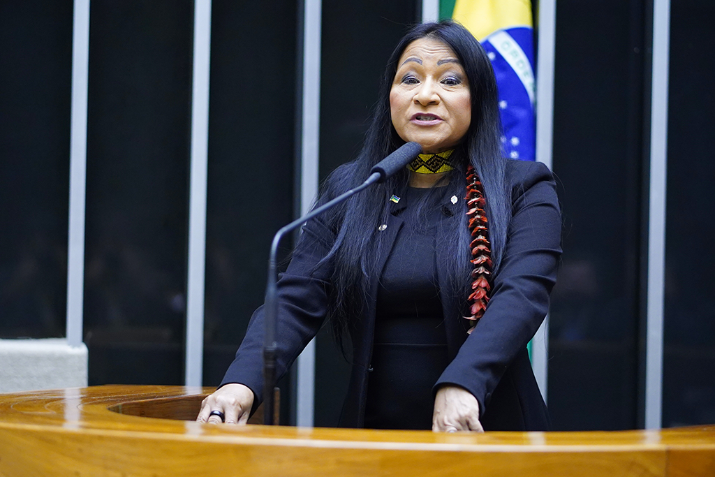 Deputada federal Silvia Waiãpi (PL-AP)