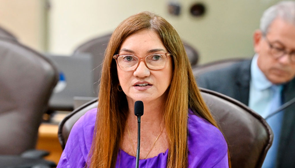 Deputada estadual Terezinha Maia (PL-RN)
