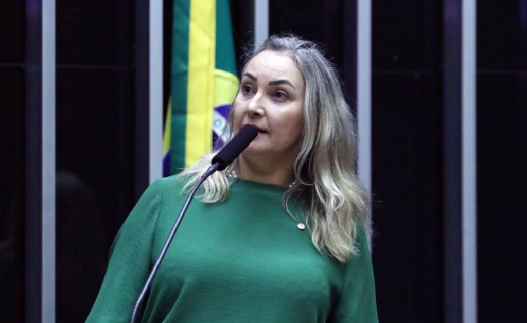 Deputada federal Daniela Reinehr (PL-SC) - Foto: divulgação/Agência Câmara de Notícias