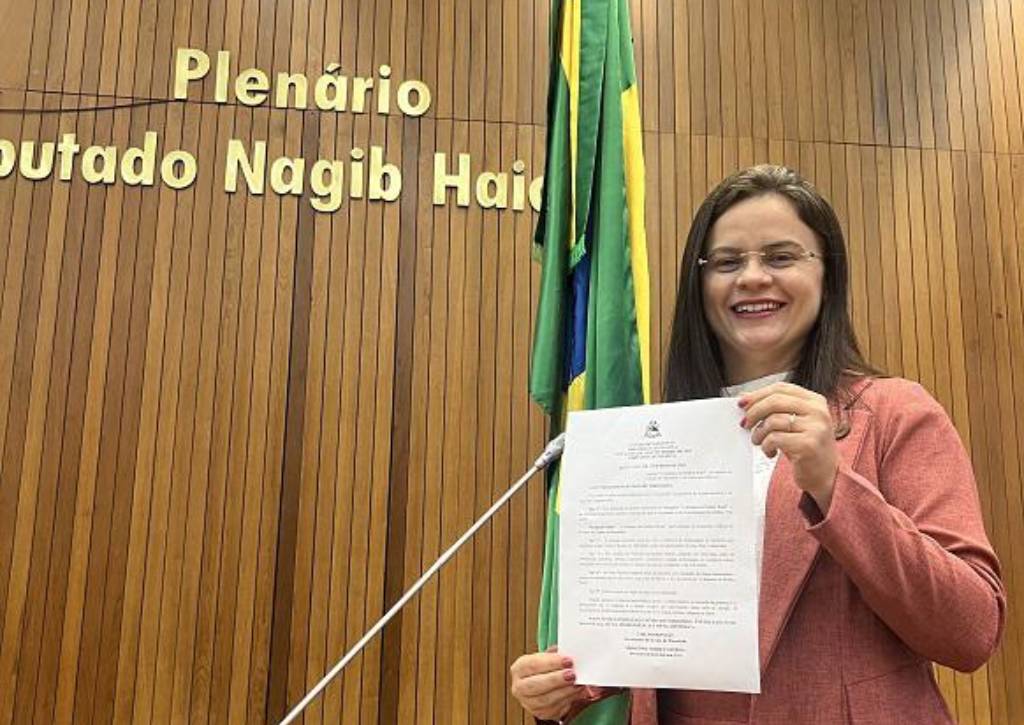 Deputada estadual Fabiana Vilar (PL-MA)