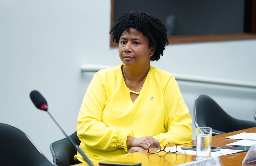 Deputada federal Silvia Cristina (PL-RO)