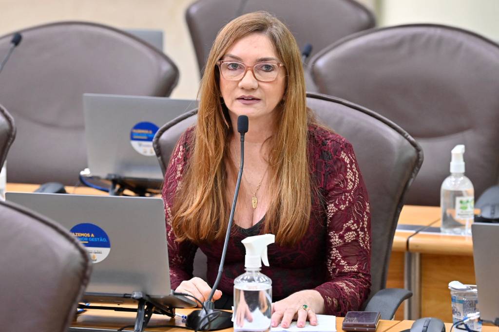 Deputada estadual Terezinha Maia (Foto: Divulgação)