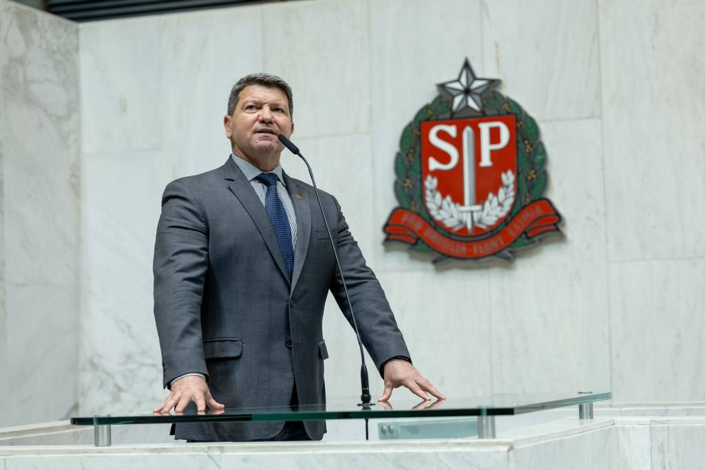 Deputado estadual Major Mecca (PL-SP)