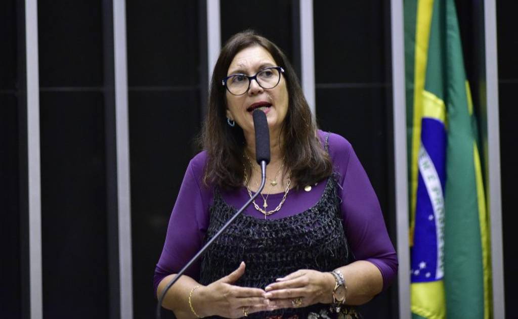 Deputada federal Bia Kicis (Foto: Zeca Ribeiro/Câmara dos Deputados)