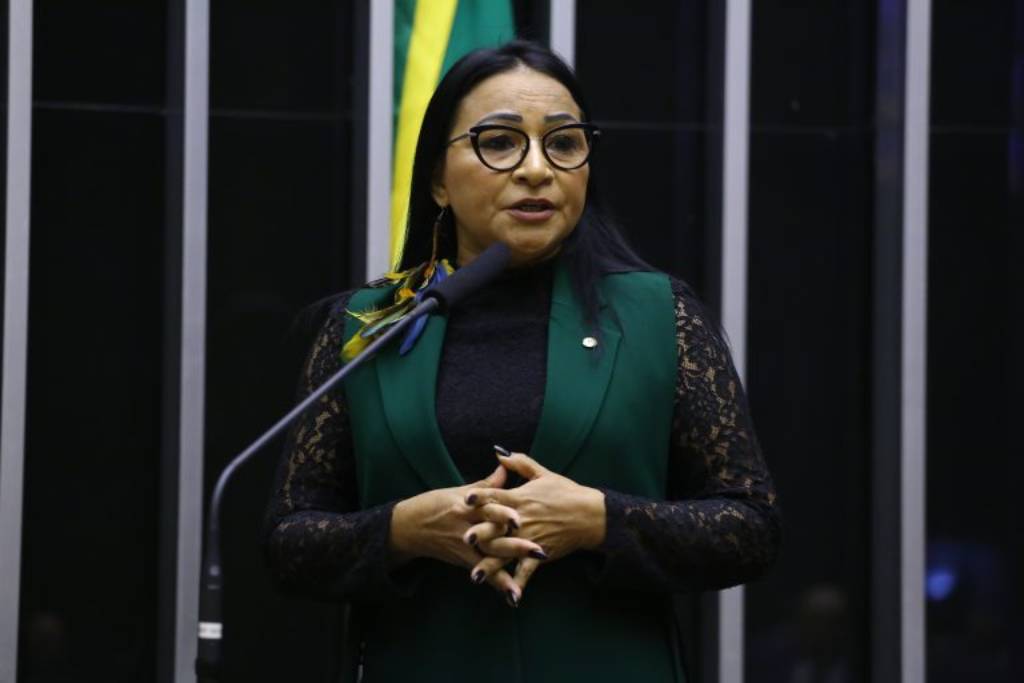Deputada Silvia Waiãpi (PL-AP) (Vinícius Loures/Câmara dos Deputados)