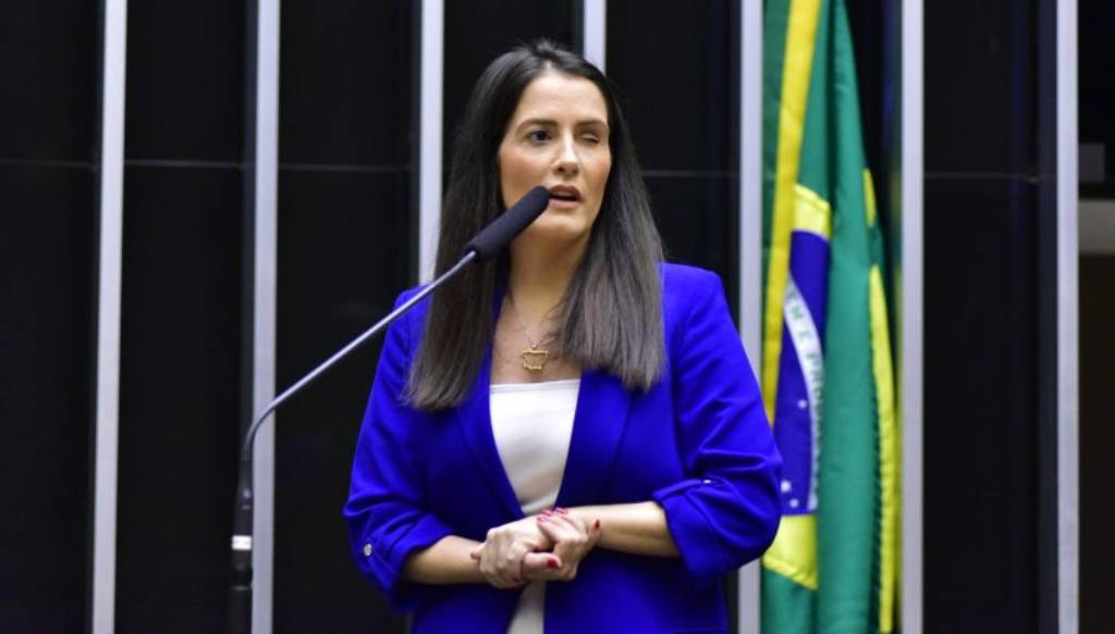 Ex-Deputada Amália Barros (PL-MT) é a autora do Projeto - Zeca Ribeiro/Câmara dos Deputados