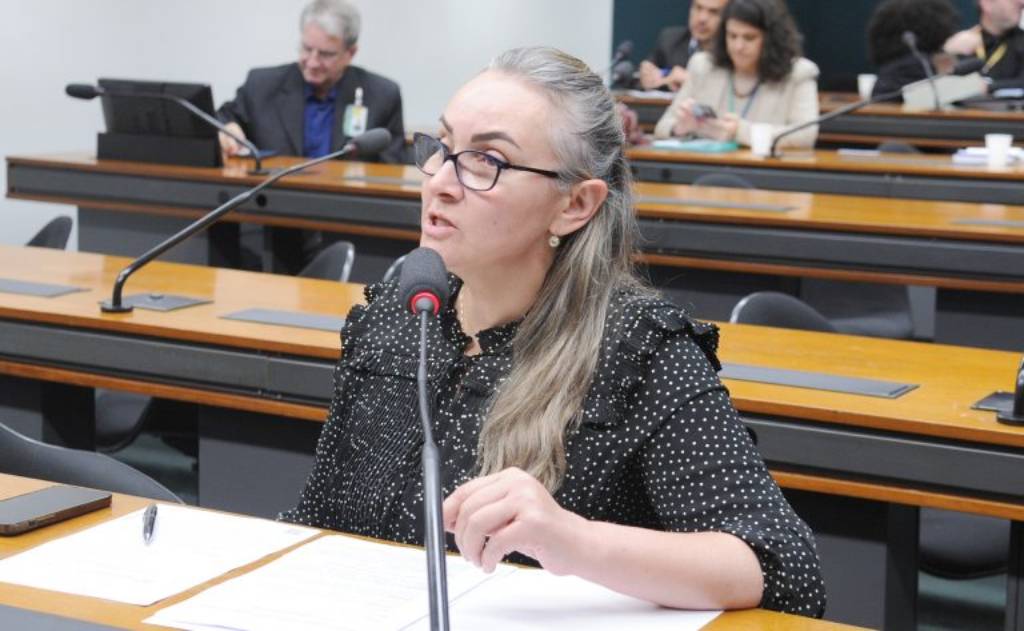 Texto aprovado é substitutivo da relatora, Daniela Reinehr (PL-SC) – Foto: Renato Araújo/Câmara dos Deputados