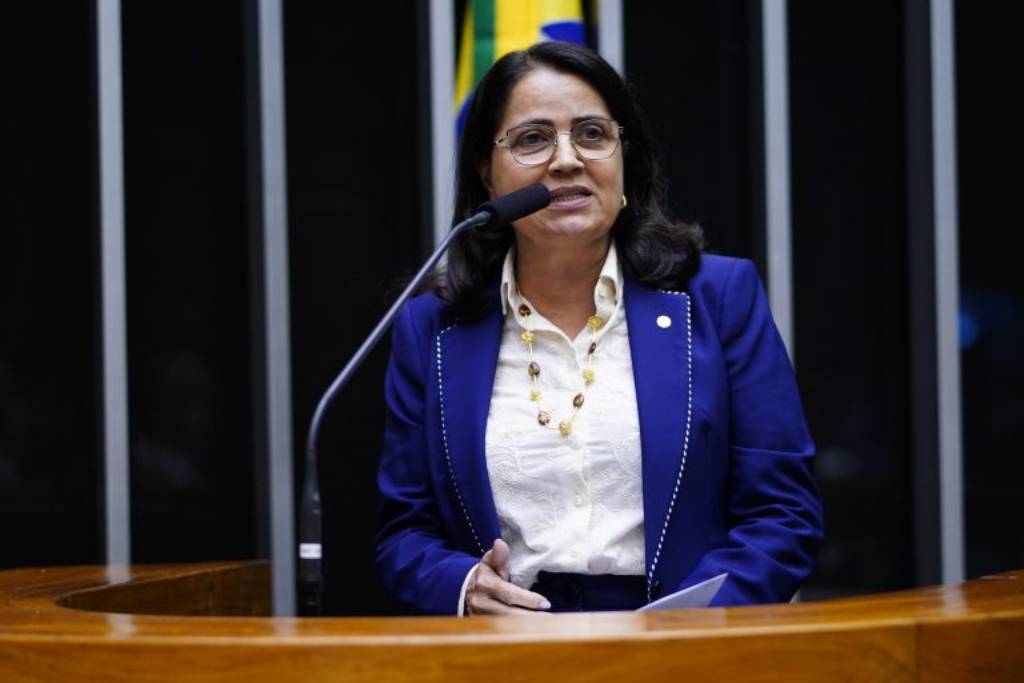 Rosângela Reis (PL-MG): número de agentes de segurança privada já supera efetivo das Forças Armadas – Foto: Pablo Valadares/Câmara dos Deputados