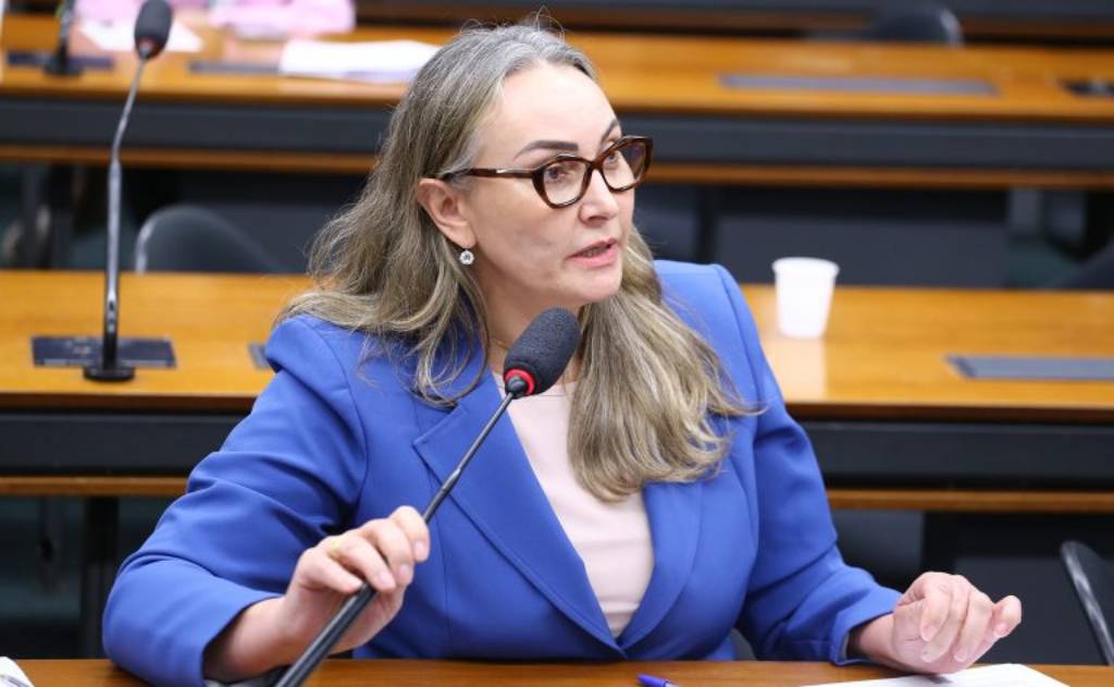 A relatora recomendou a aprovação da proposta deputada Daniela Reinehr (PL-SC) - Foto: Vinicius Loures/Câmara dos Deputados