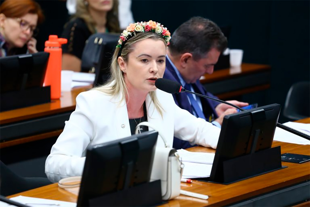 Deputada Julia Zanatta (PL-SC): "O Brasil tem muitas outras prioridades" – Foto: Vinicius Loures/Câmara dos Deputados