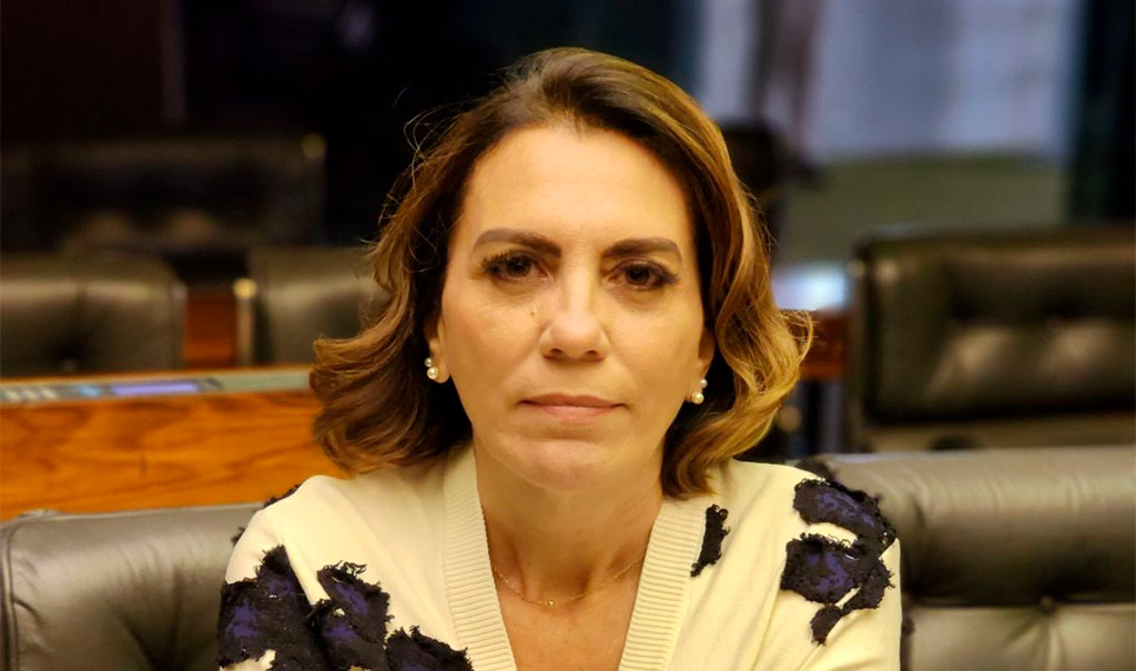 Deputada federal Rosana Valle (PL-SP) - Foto: divulgação/Assessoria de Imprensa