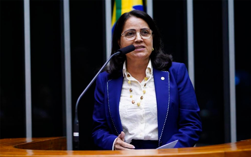 Deputado Rosângela Reis (PL - MG) – Foto: Pablo Valadares/Câmara dos Deputados