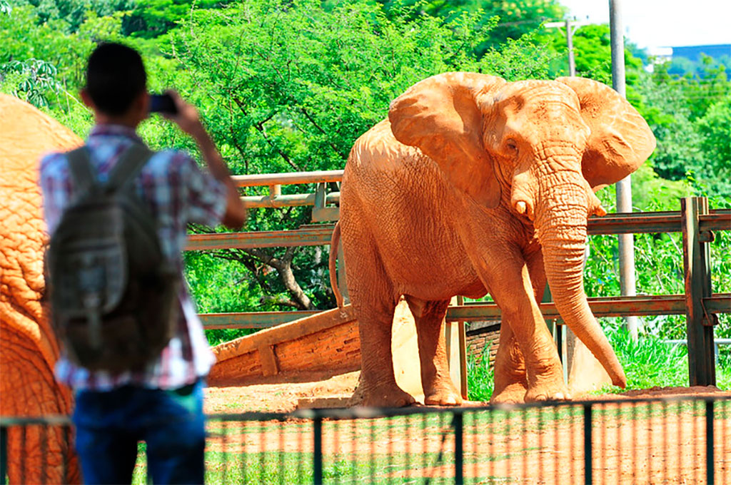 O Zoológico de Brasília de Brasília ainda não aceita cartão - Foto: Tony Winston/Agência Brasília 