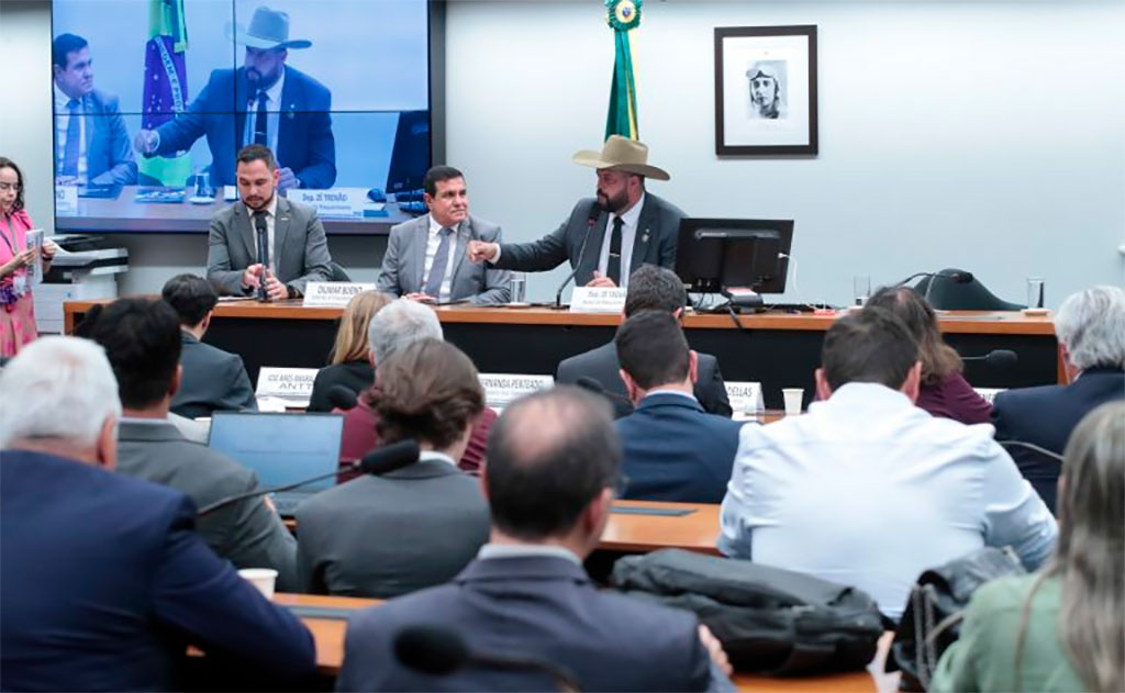 Pesquisa apresentada na comissão foi encomendada pela CNTA – Foto: Bruno Spada/Câmara dos Deputados