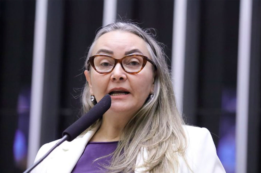 A deputada Daniela Reinehr (PL-SC) recomendou a aprovação da proposta – Foto: Mario Agra / Câmara dos Deputados