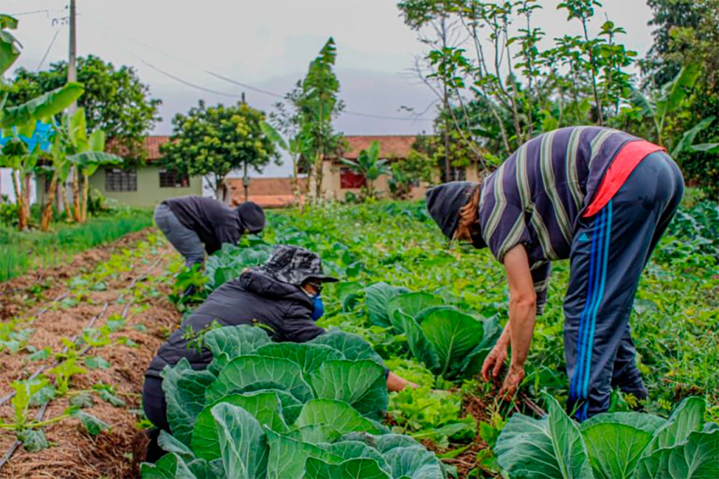 Proposta beneficia pequenos agricultores familiares e trabalhadores rurais – Foto: Leonardo Henrique e Valmir Fernandes/Fotos Públicas 