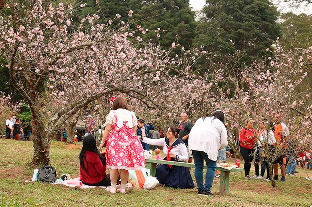Evento, realizado no município de Garça, em São Paulo, promove a cultura japonesa – Foto: VALTERJR