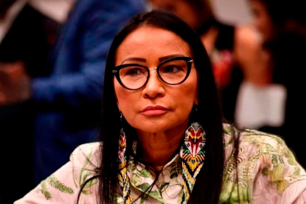 Deputada Silvia Waiãpi (PL-AP) - Foto: divulgação/Agência Câmara de Notícias