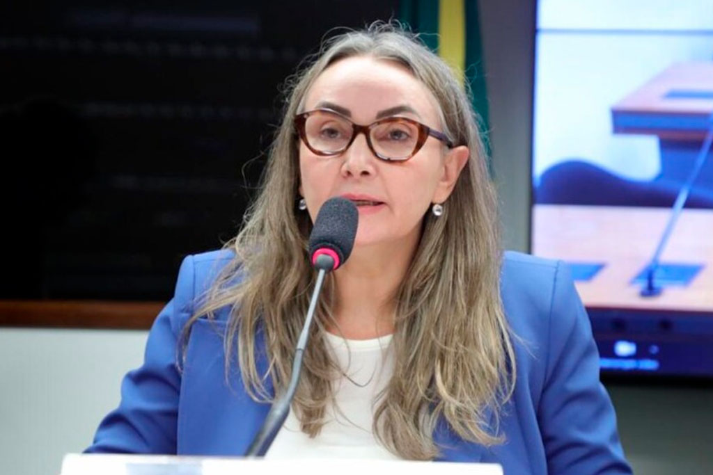 Deputada Federal Daniela Reinehr (PL-SC) - Foto: divulgação/Agencia Câmara de Notícias