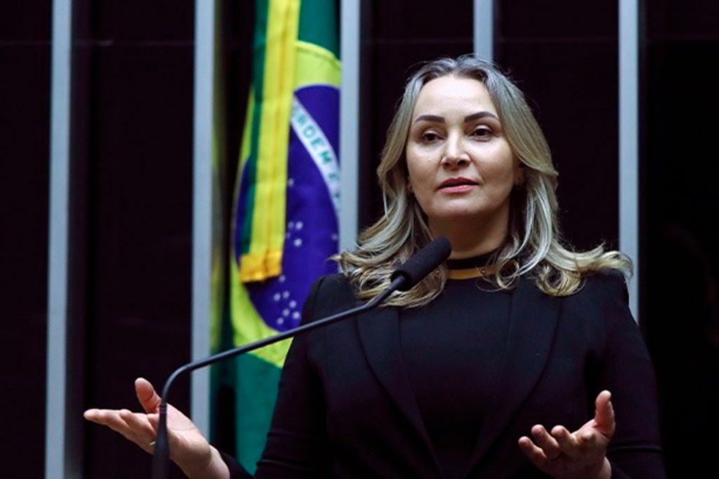 Deputada Federal Daniela Reinehr (PL-SC) - Foto: divulgação/Agência Câmara de Notícias