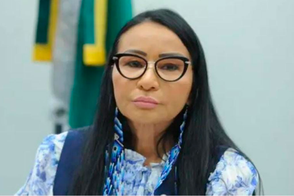 A deputada amapaense, vice-líder da oposição, Silvia Waiãpi (PL-AP) - Foto: divulgação/Agência Câmara de Notícias