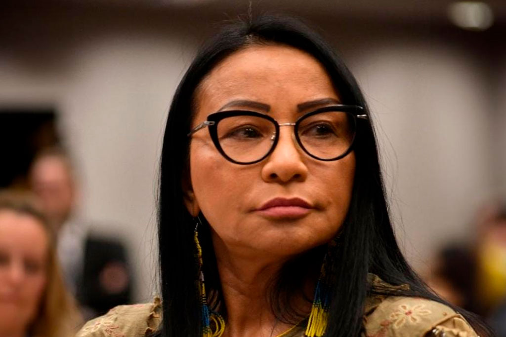Deputada Silvia Waiãpi (PL-AP) - Foto: divulgação/Agência Câmara de Notícias