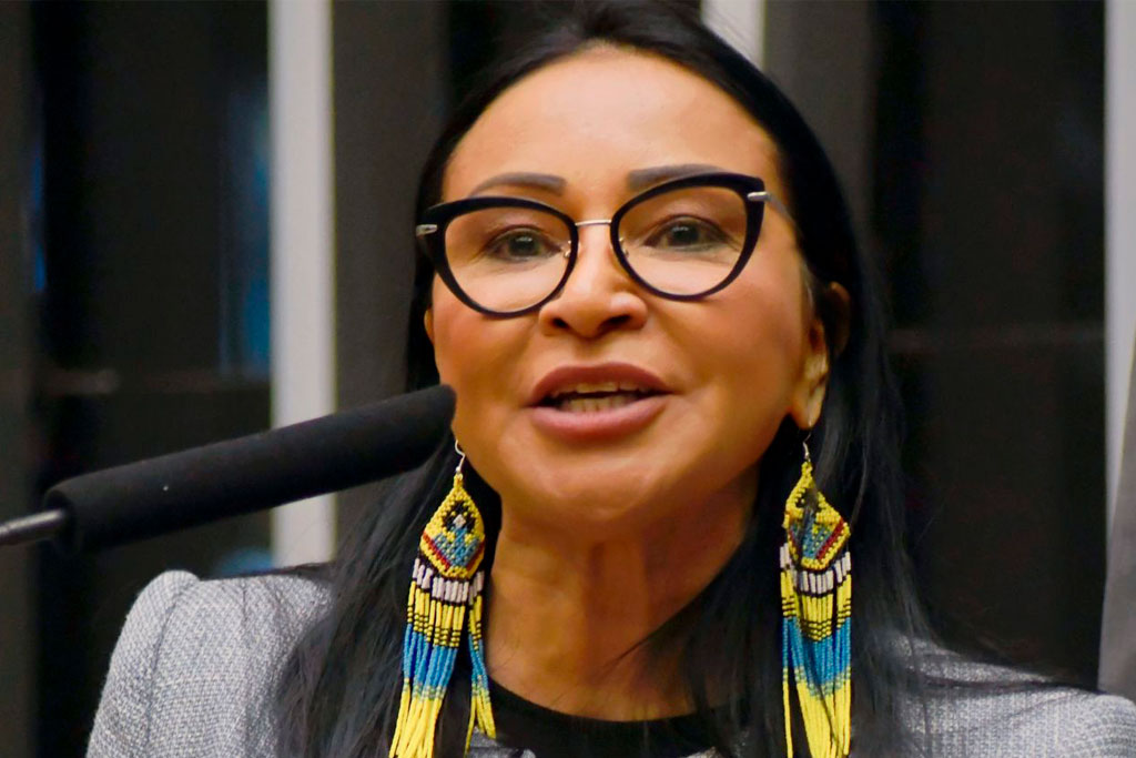 Deputada Silvia Waiãpi (PL-AP): “a saúde mental desses profissionais é uma questão de segurança nacional" - Foto: André Violatti