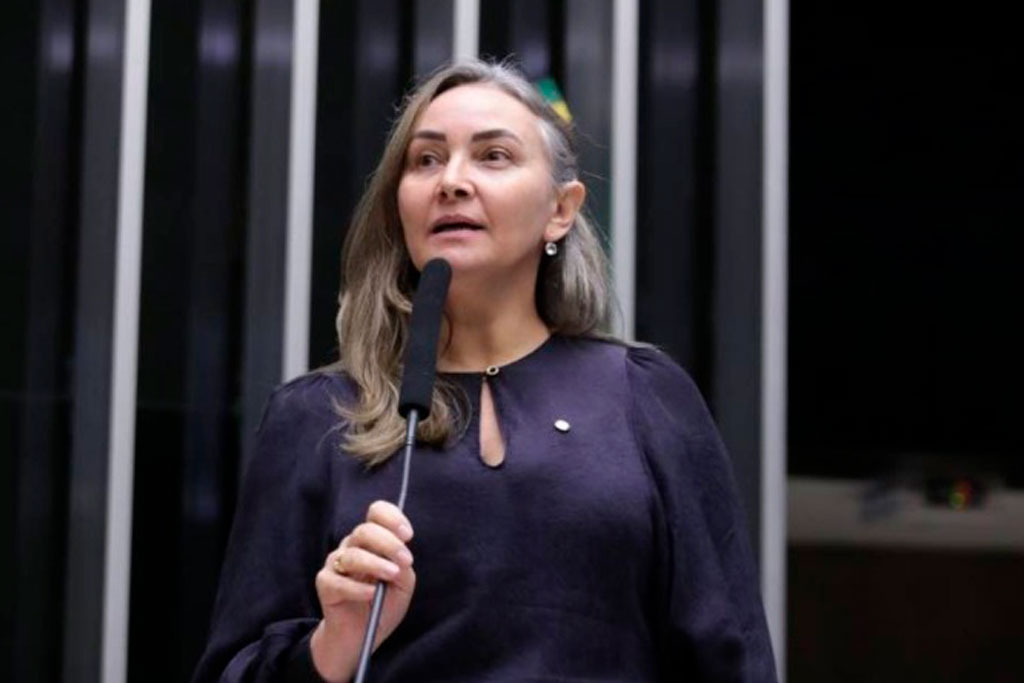 Deputada Federal Daniela Reinehr (PL-SC) - Foto: divulgação/Agência Câmara de Notícias