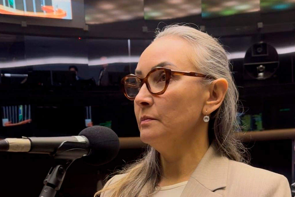 Deputada Federal Daniela Reinehr (PL-SC) - Foto: divulgação/Agência Câmara de Notícias