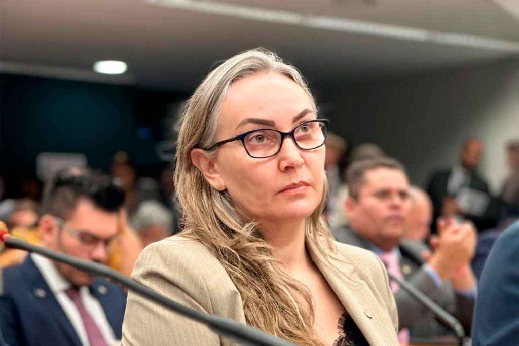 Deputada Federal Daniela Reinehr (PL-SC) - Foto: divulgação/Agência Camara de Notícias
