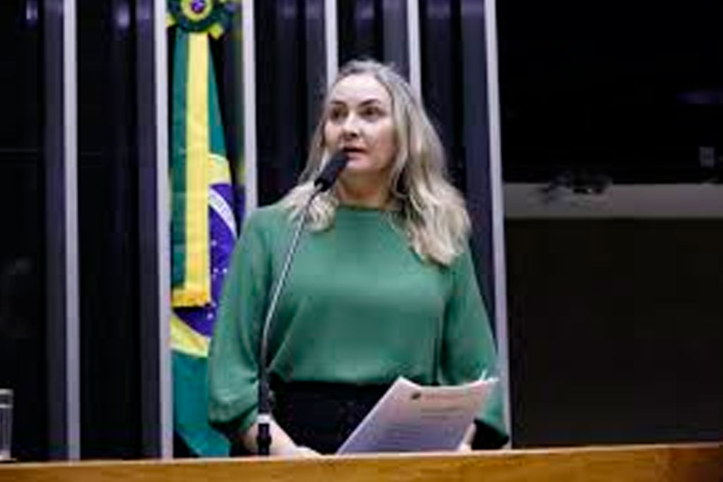Deputada Federal Daniela Reinehr (PL-SC) - Foto: divulgação/Agência Câmara de Notícias