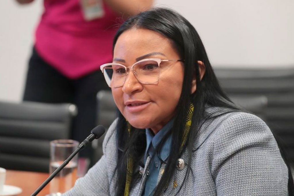 Silvia Waiãpi (PL-AP): dinheiro será usado para ações de segurança nas fronteiras - Bruno Spada / Câmara dos Deputados