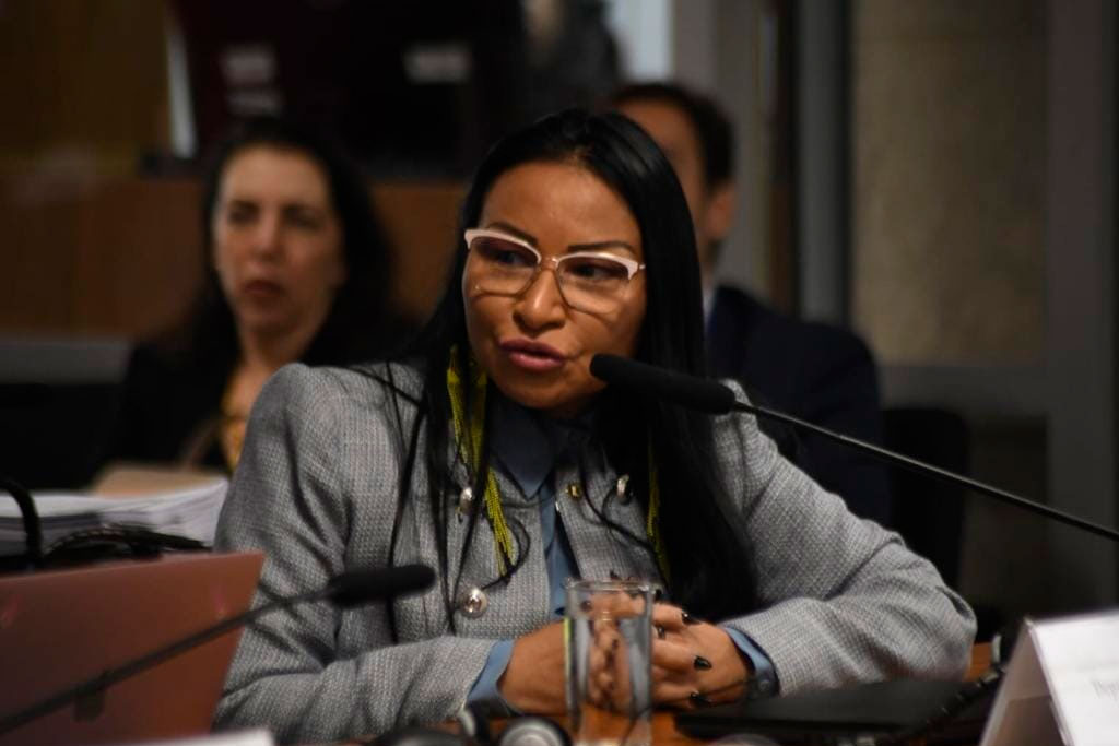 Vice-líder da oposição, deputada Silvia Waiãpi (PL-AP) - Foto: André Violatti