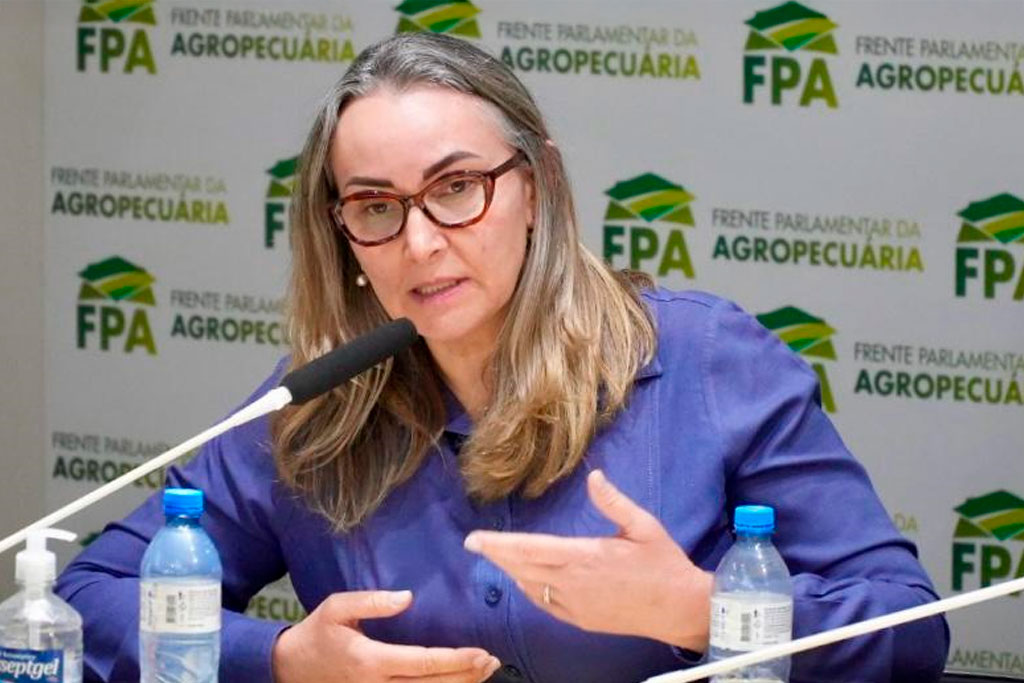 Relatora da proposta, Deputada Federal Daniela Reinehr (PL-SC), - Foto: divulgação/Agência Câmara de Notícias
