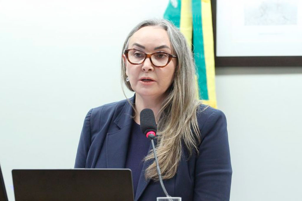 A relatora do projeto, deputada Daniela Reinehr (PL-SC) – Foto: Vinicius Loures / Câmara dos Deputados