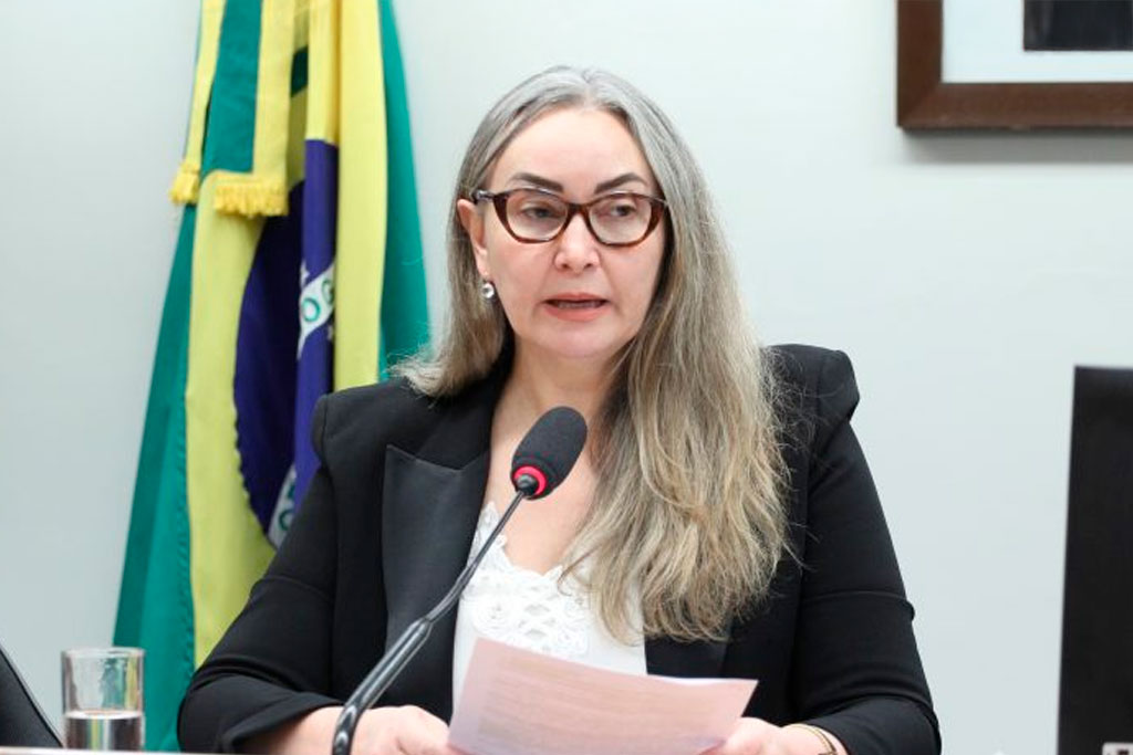 Daniela Reinehr (PL-SC), a autora da proposta – Foto: Vinicius Loures/Câmara dos Deputados