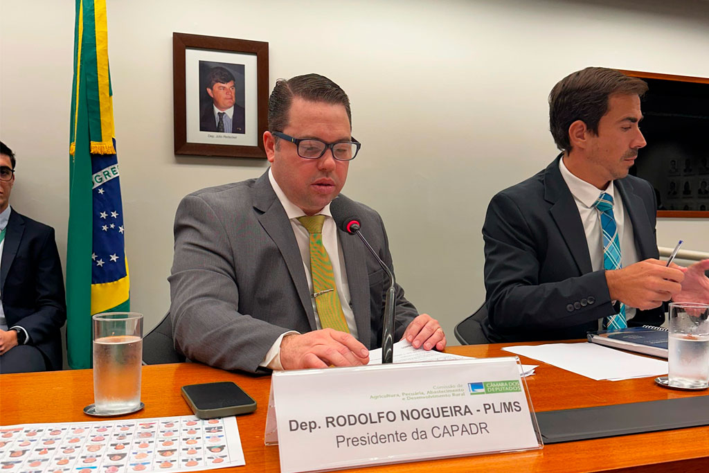 Deputado federal Rodolfo Nogueira (PL-MS) _ Foto: divulgação/Agência Câmara de Notícias