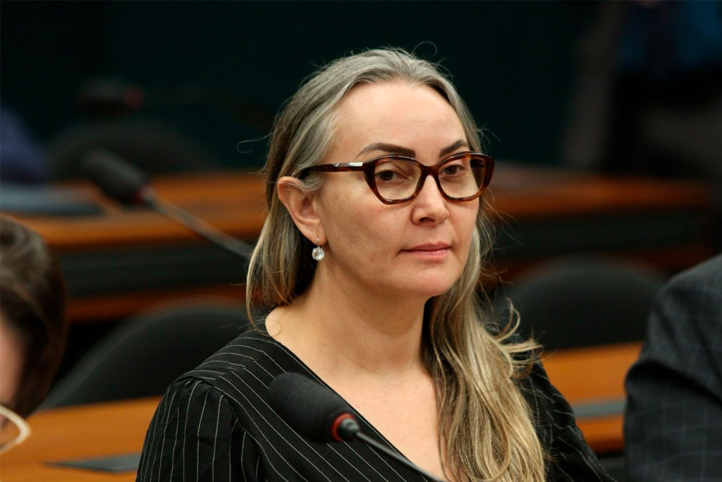 Deputada Federal Daniela Reinehr (PL-SC) - Foto: divulgação/Assessoria de Imprensa da Deputada