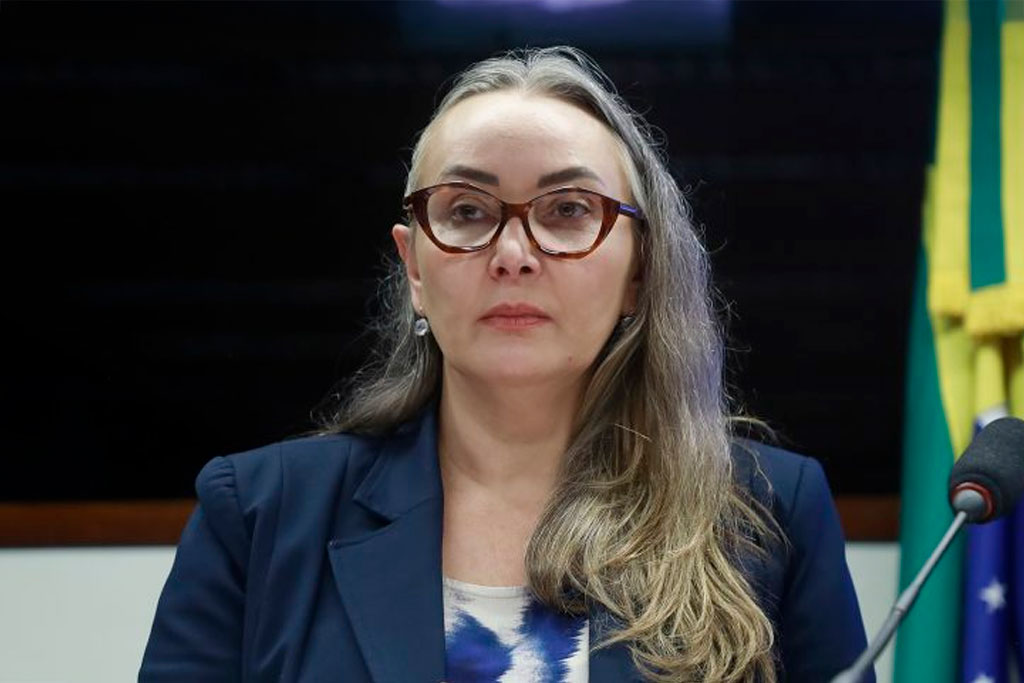 Deputada Daniela Reinehr (PL-SC), relatora na comissão – Foto: Mário Agra/Câmara dos Deputados
