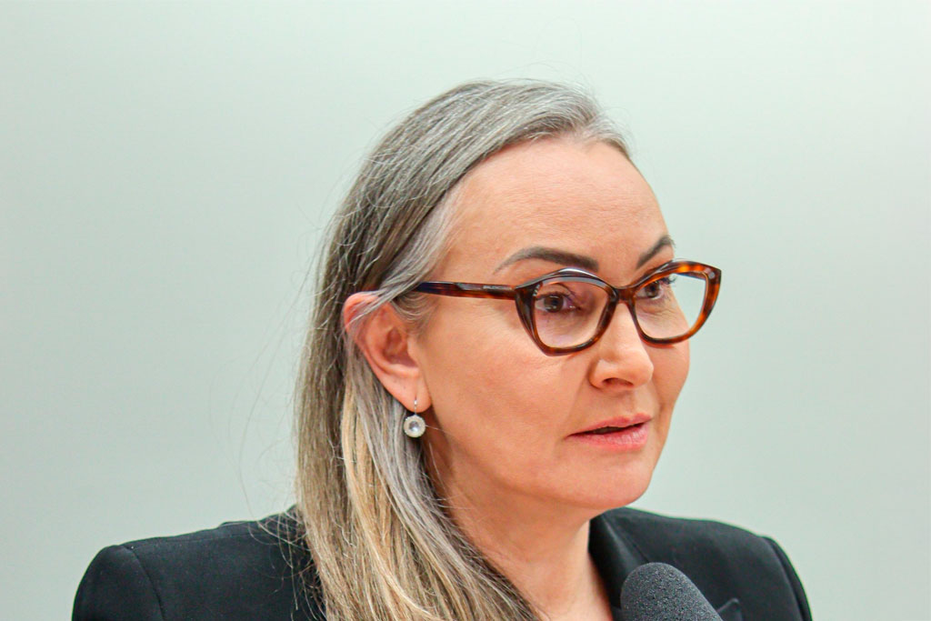 Deputada Federal Daniela Reinehr (PL-SC) - Foto: divulgação/Agência Câmara de Notícias