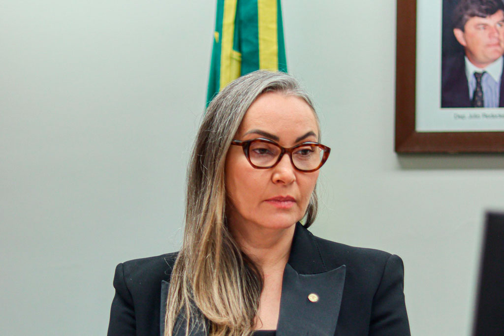 Deputada Federal Daniela Reinehr (PL-SC) - Foto: divulgação/Agência Câmara de Notícias