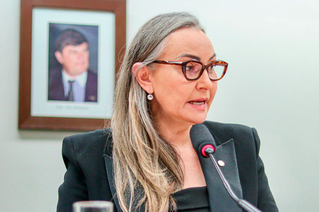 Deputada federal Daniela Reinehr (PL-SC) - Fonte: divulgação/Agência Câmara de Notícias