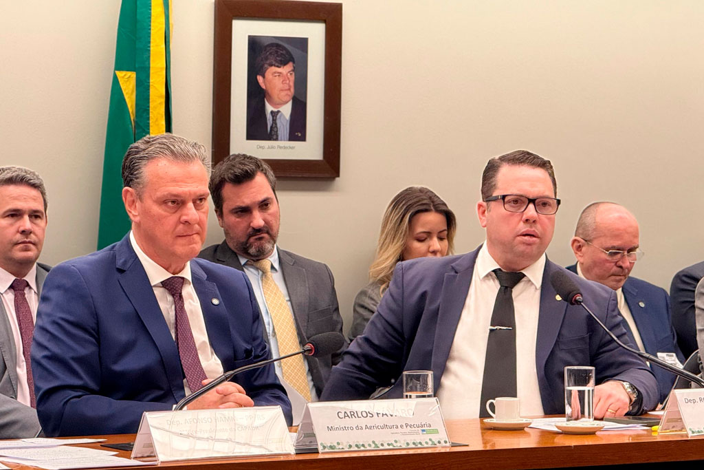 O parlamentar, deputado federal Rodolfo Nogueira (PL-MS) alerta sobre saúde mental dos produtores rurais e pede celeridade - Foto: divulgação/Agência Câmara de Notícias