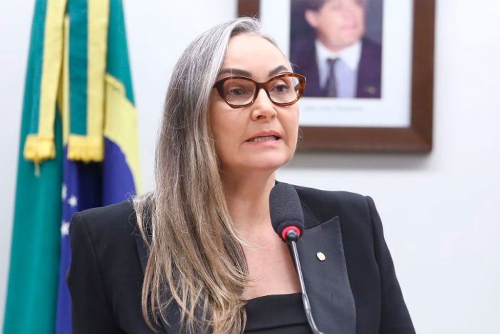 A relatora, deputada Daniela Reinehr (PL-SC) recomendou a aprovação da proposta – Foto: Vinicius Loures / Câmara dos Deputados